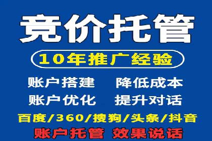 SEM广告投放的竞价策略与效果评估案例